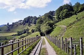 Natur Bideen Eguna