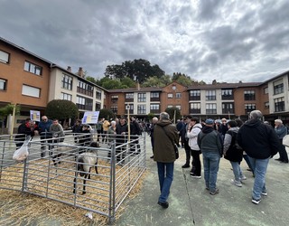 Latxa Arrazako Enkantea, Mendialdeko AzokaI Ibiltaria, eta Lore eta Landare Azoka Lekunberrin
