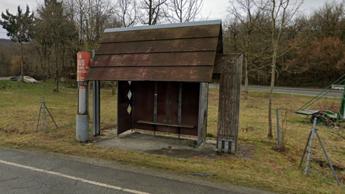 Larraunen garraio publikoaren zerbitzuaren egoera aztergai