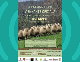 Latxa arrazako V. Enkante Ofiziala igandean Lekunberrin