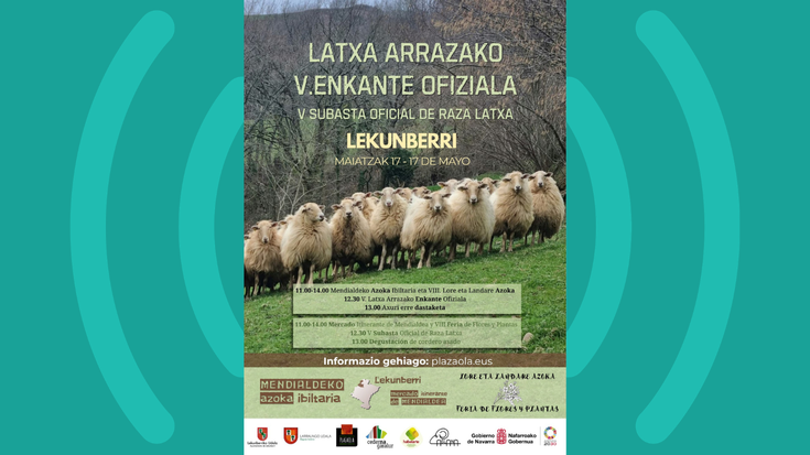 Latxa arrazako V. Enkante Ofiziala igandean Lekunberrin