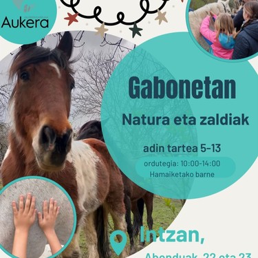 Gabonetan – Natura eta zaldiak