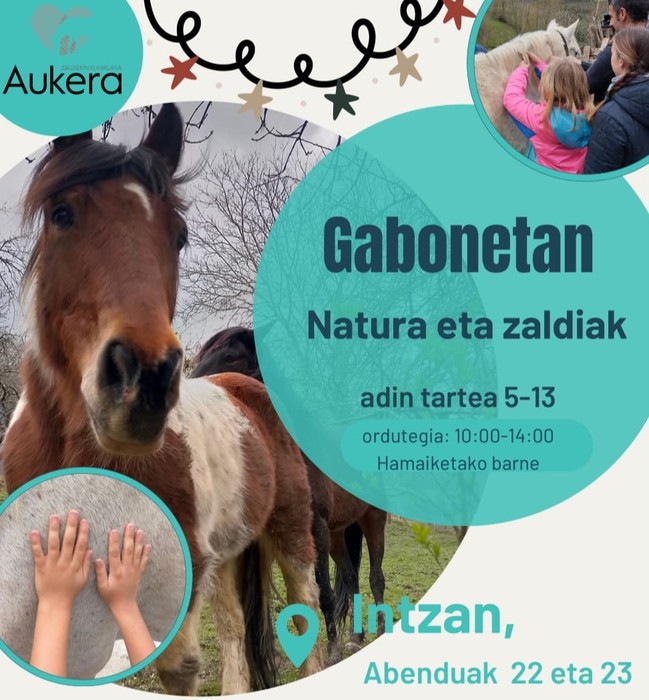 Gabonetan – Natura eta zaldiak