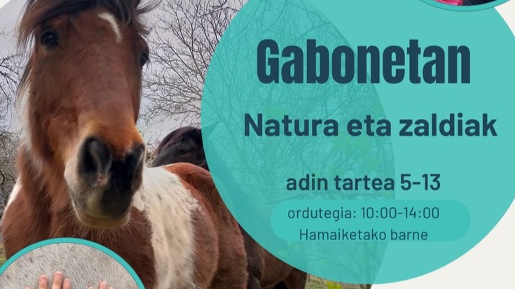 Gabonetan – Natura eta zaldiak