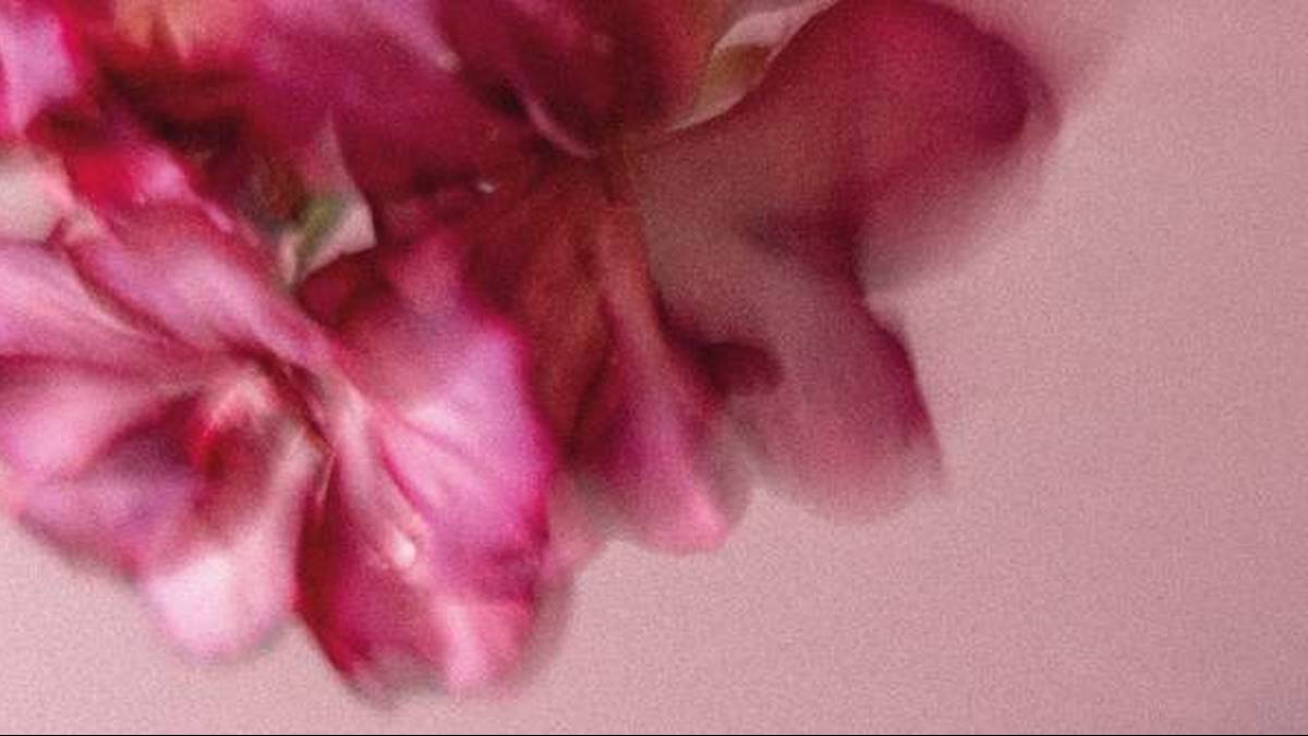 “Xerka” erakusketa