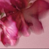 “Xerka” erakusketa