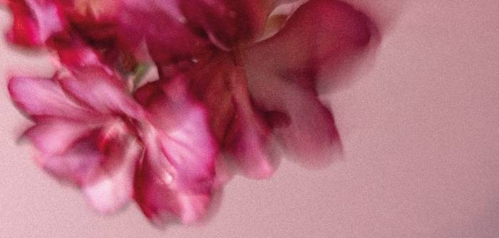 “Xerka” erakusketa