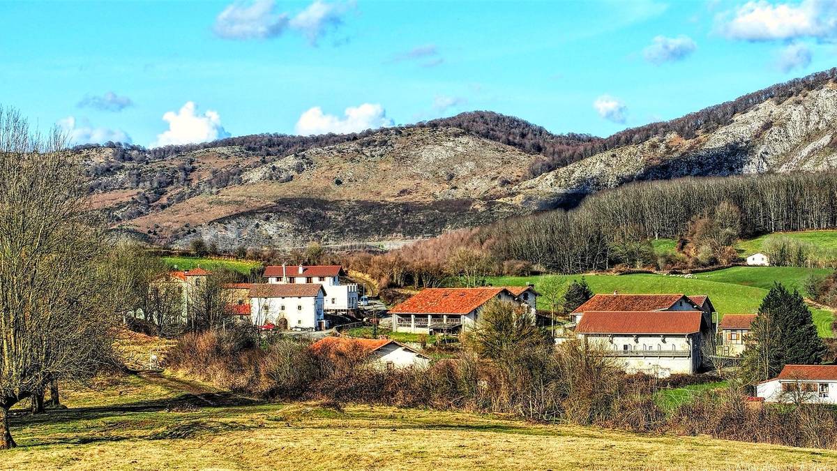 Zer nolako osasuna du euskarak Larraunen?