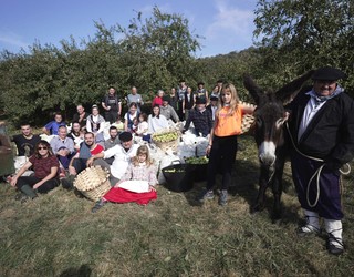 Sagardogintzaren tradizioa indartzen ari dira Larraun eta Lekunberriko herritarrak
