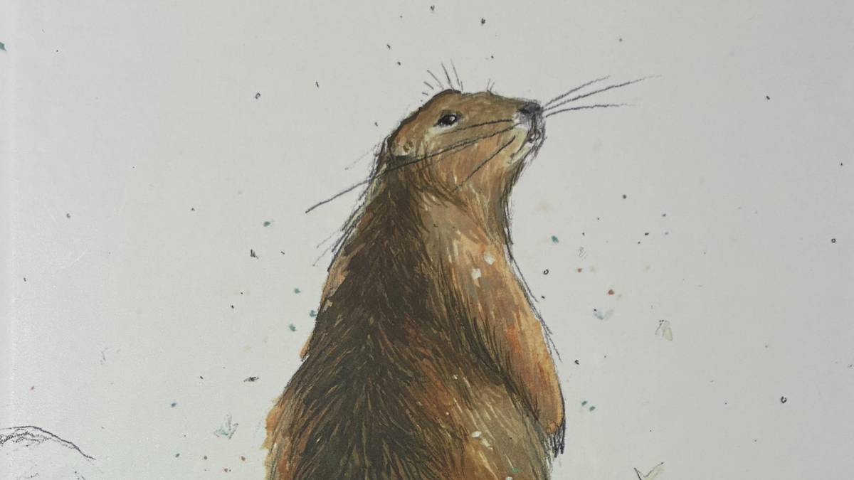 'Marmotarenak' liburu ilustratua kalean da