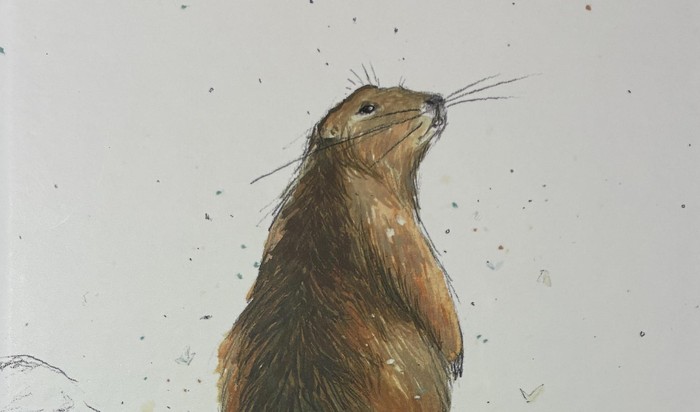 'Marmotarenak' liburu ilustratua kalean da