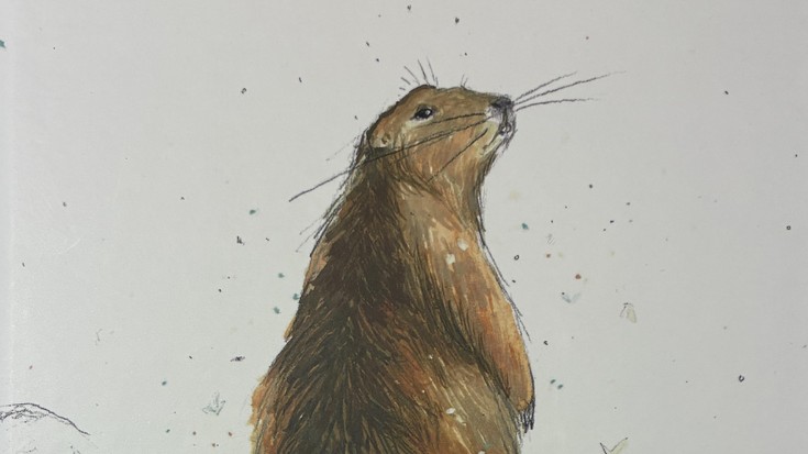 'Marmotarenak' liburu ilustratua kalean da