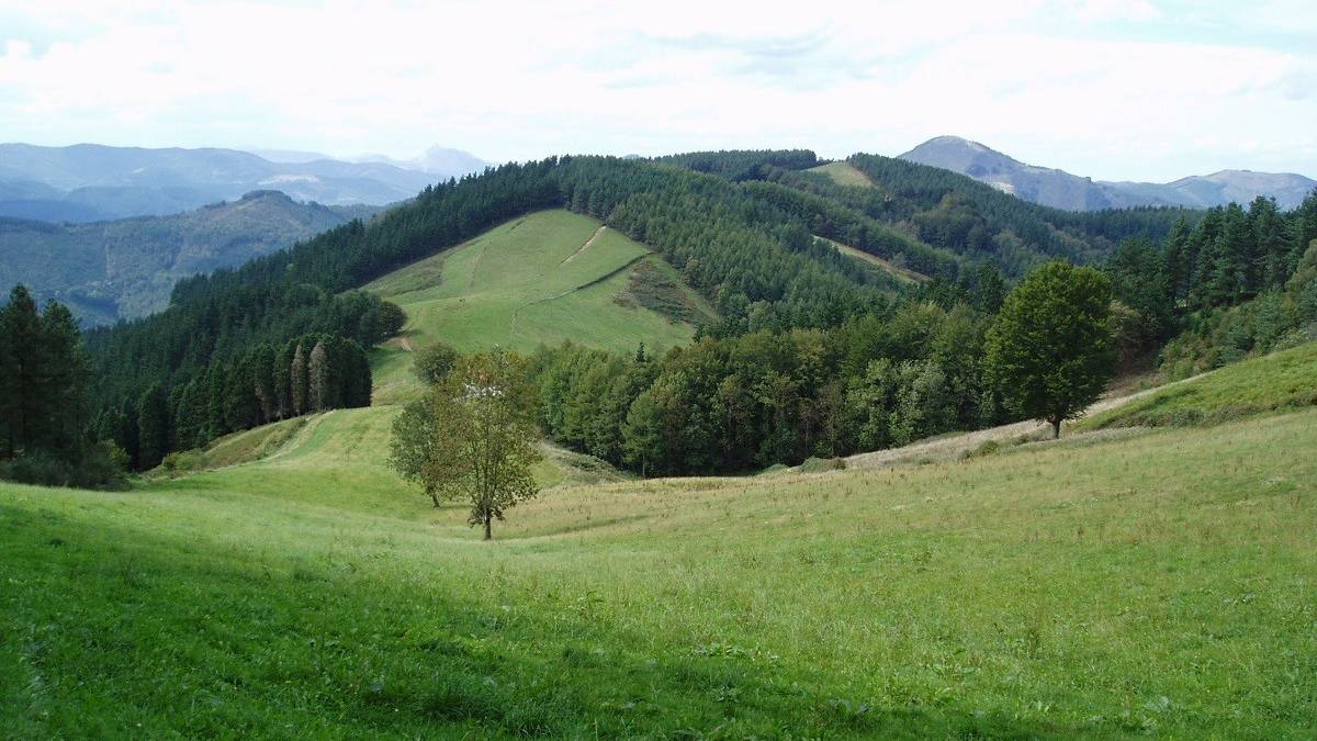 Saio irekiak mendialdean: Nekazaritzan eta elikagaien ekoizpenean lan egiten duzu edo interesa duzu?