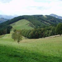 Saio irekiak mendialdean: Nekazaritzan eta elikagaien ekoizpenean lan egiten duzu edo interesa duzu?