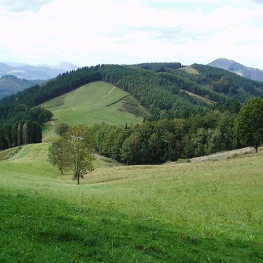 Saio irekiak mendialdean: Nekazaritzan eta elikagaien ekoizpenean lan egiten duzu edo interesa duzu?