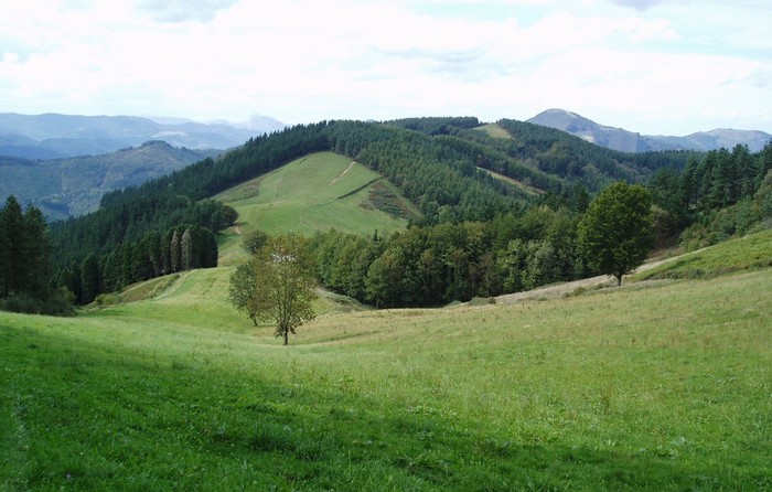 Saio irekiak mendialdean: Nekazaritzan eta elikagaien ekoizpenean lan egiten duzu edo interesa duzu?