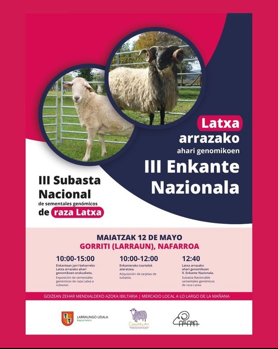 Latxa arrazako ahari genomikoen III. enkantea
