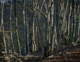“Ziarraize” filma eskeiniko dute larunbatean Gabari Gune Irekian