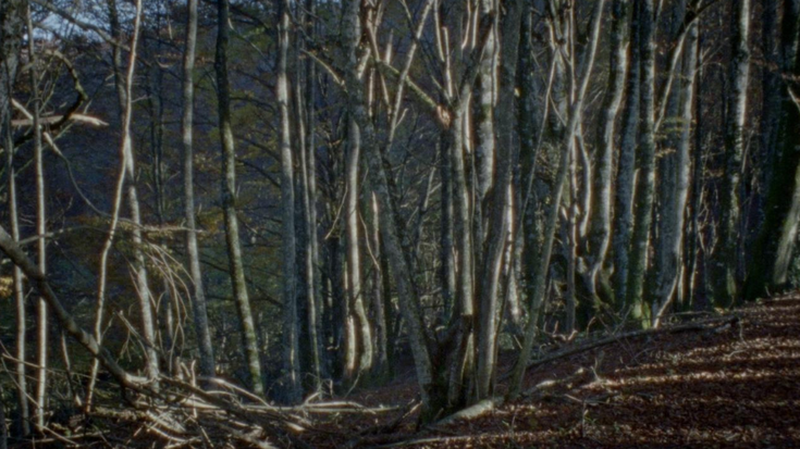 “Ziarraize” filma eskeiniko dute larunbatean Gabari Gune Irekian