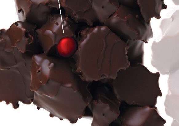 Erakusketa: Bidezko txokolatearen VIII Ibilbidea