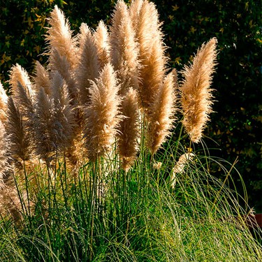'Exotic in itinere' Monika Arandaren erakusketa izanen da Plazaola Geltokian