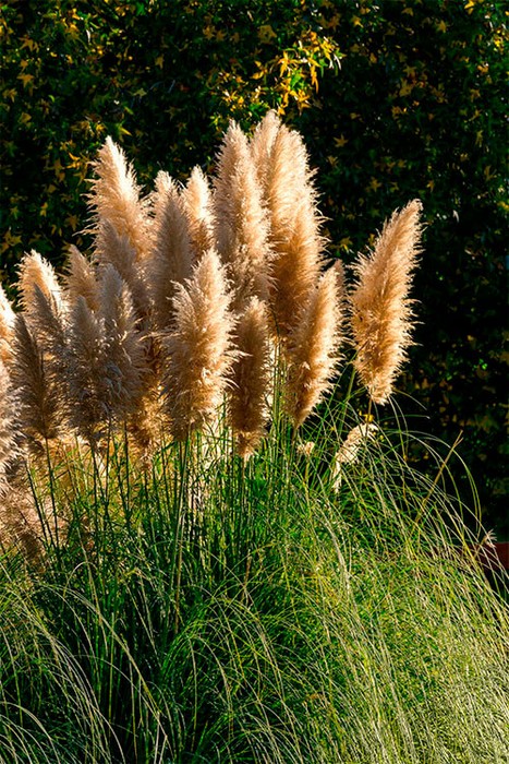 'Exotic in itinere' Monika Arandaren erakusketa izanen da Plazaola Geltokian