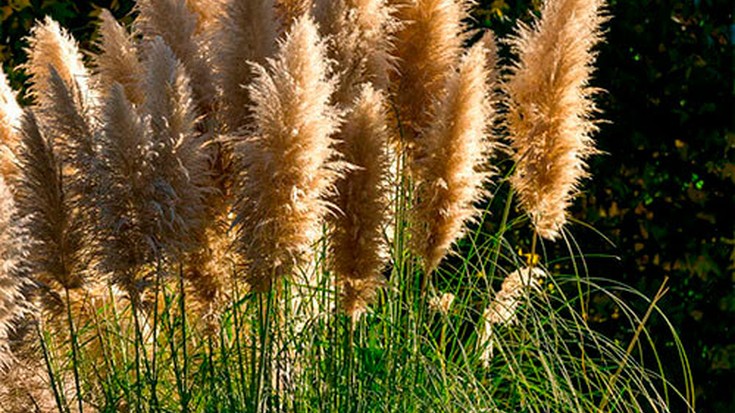 'Exotic in itinere' Monika Arandaren erakusketa izanen da Plazaola Geltokian