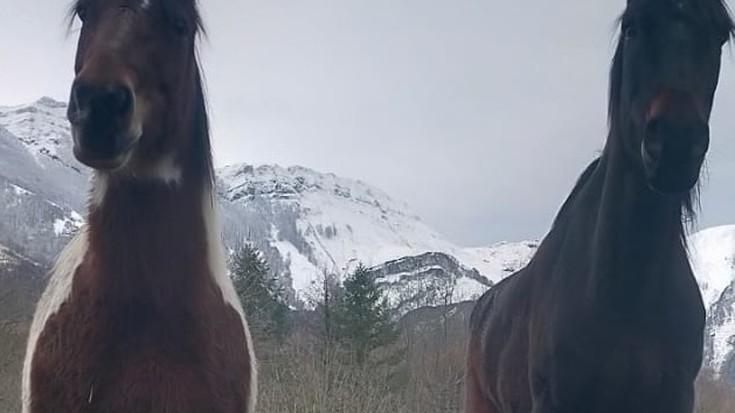 Natura eta Zaldiak: "Loturak sortzen"