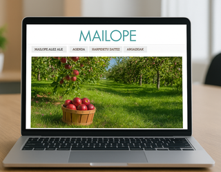 Mailope.eus-en albisteen titularra eta sarrera itzultzeko aukera aktibo dago