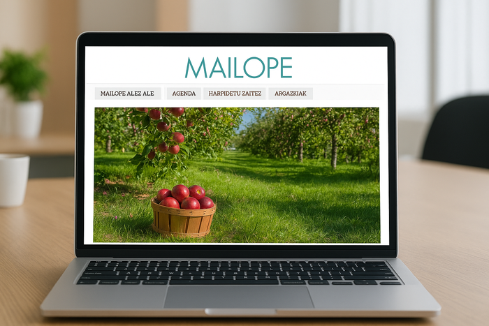 Mailope.eus-en albisteen titularra eta sarrera itzultzeko aukera aktibo dago