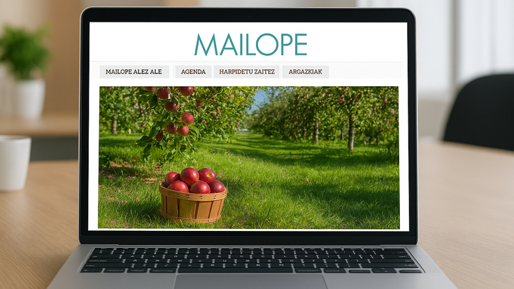 Mailope.eus-en albisteen titularra eta sarrera itzultzeko aukera aktibo dago