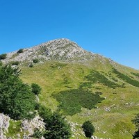 Ttutturre K.E: Genekogortako mendi gunea (Bizkaia)