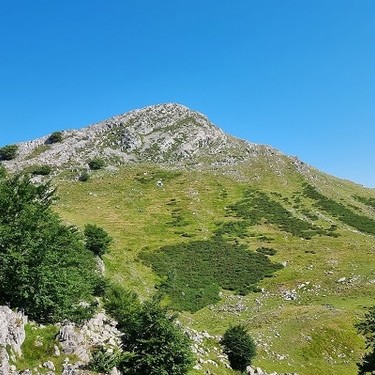 Ttutturre K.E: Genekogortako mendi gunea (Bizkaia)